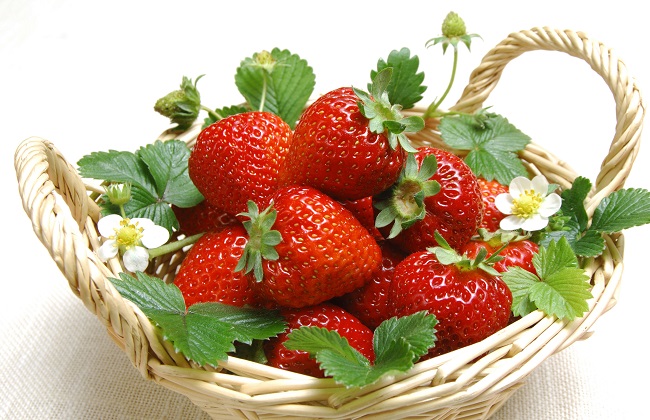 <b>草莓施什么水溶肥果大味甜？</b>