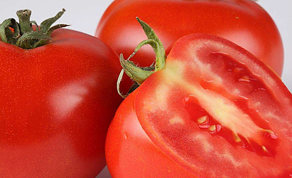 <b>秋茬西红柿注意以下几点，提高质量增加产量</b>