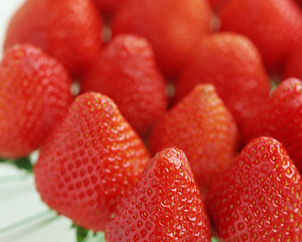 <b>草莓施什么叶面肥增红上色快不烂果？</b>