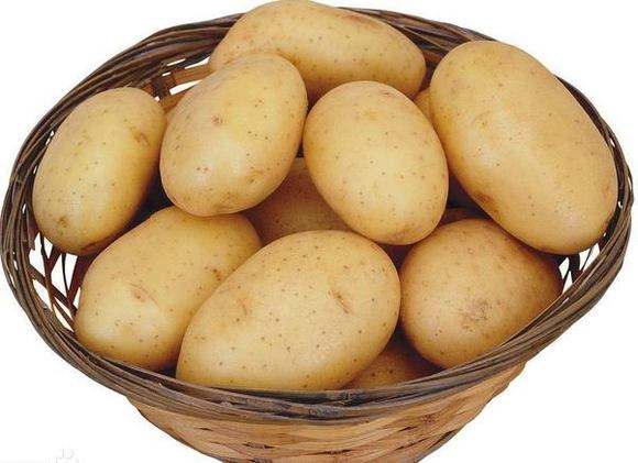 土豆高产施肥技术