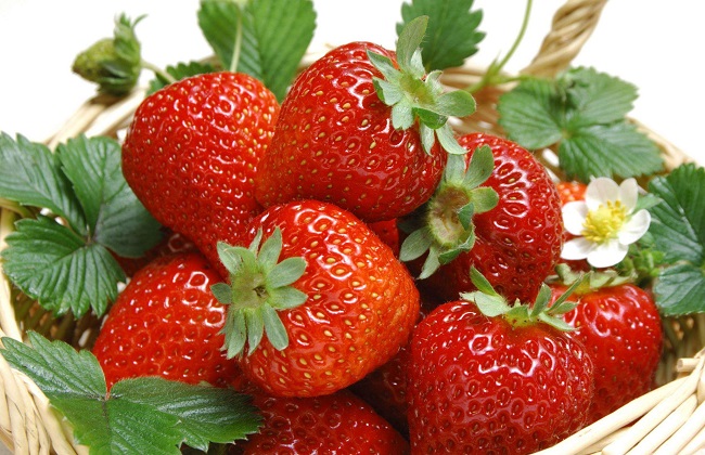 草莓用什么水溶肥果大味甜？
